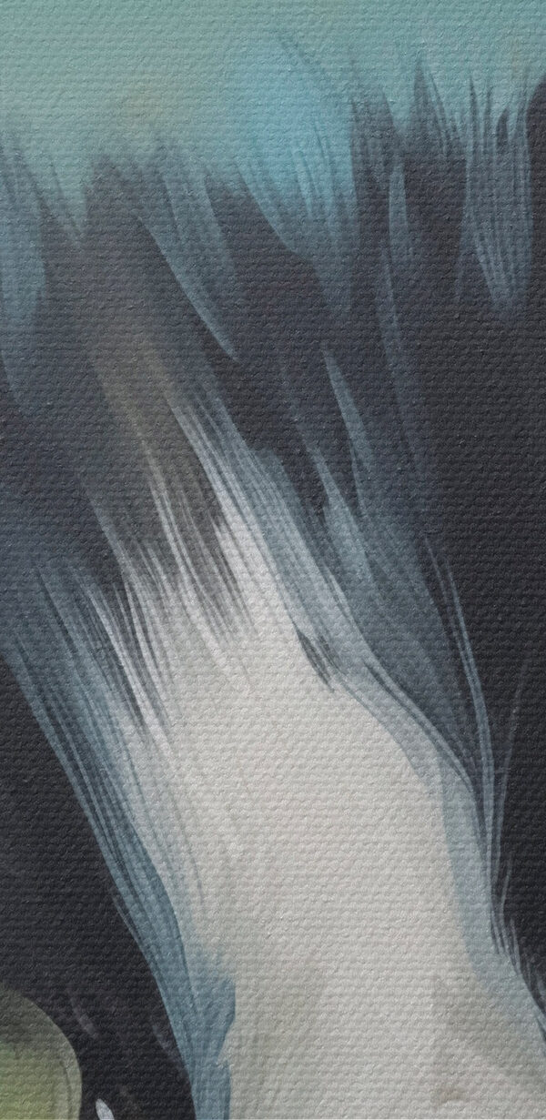 Cat looking out of a curtain