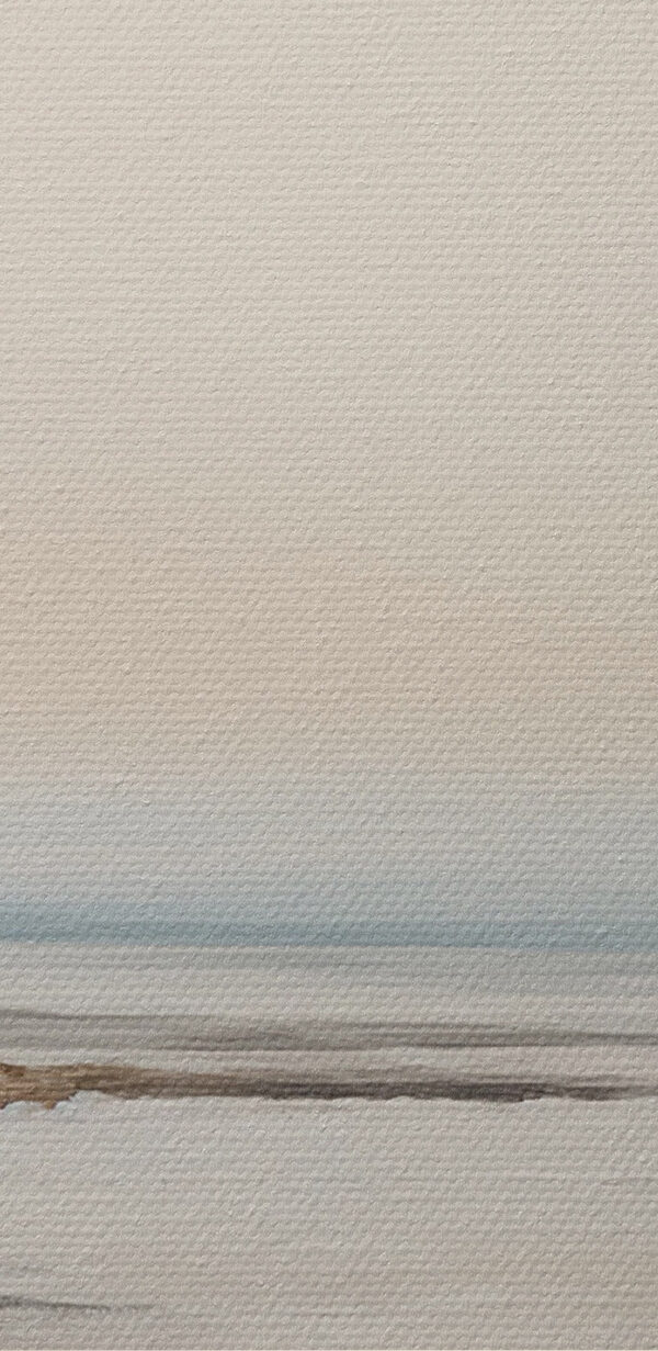 Bird flying over a beach