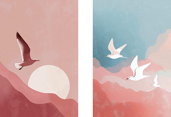 Two birds flying in the sky