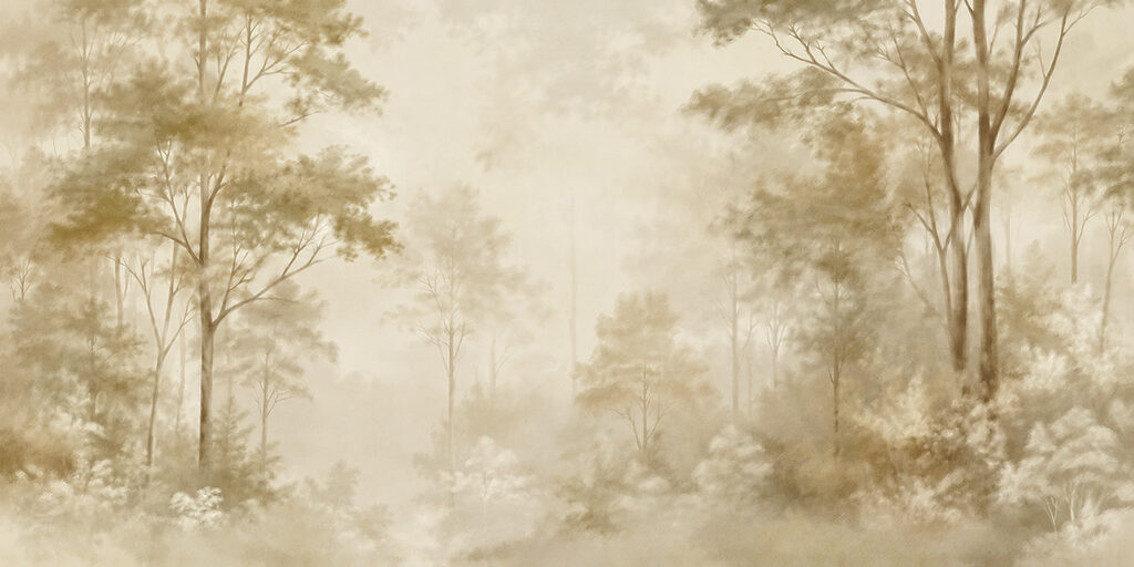 Foggy forest with trees