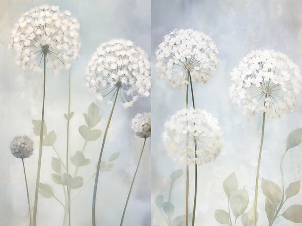 Collage of white flowers Collage of white flowers