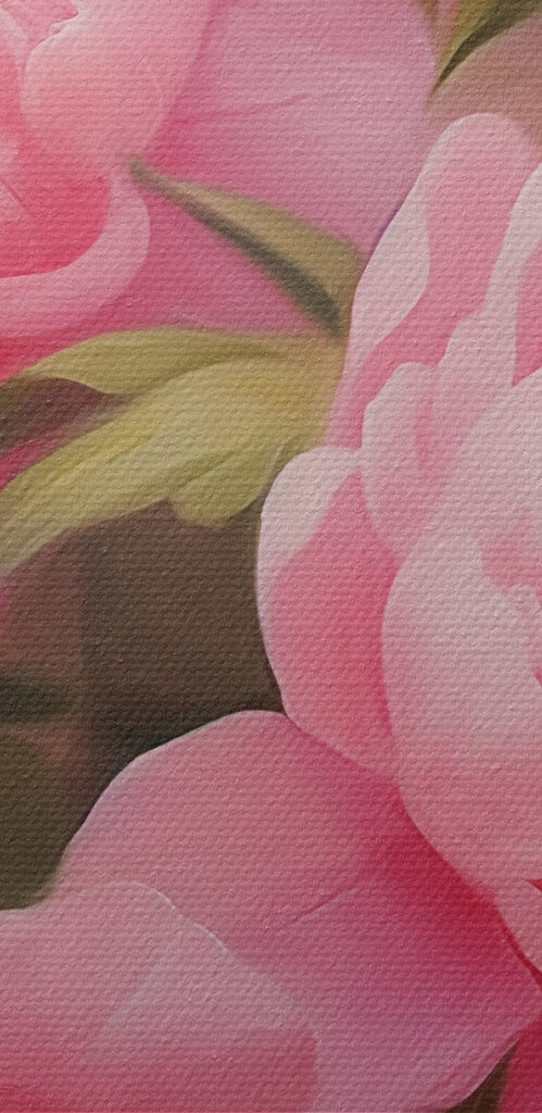 Blooming pink peonies in soft light