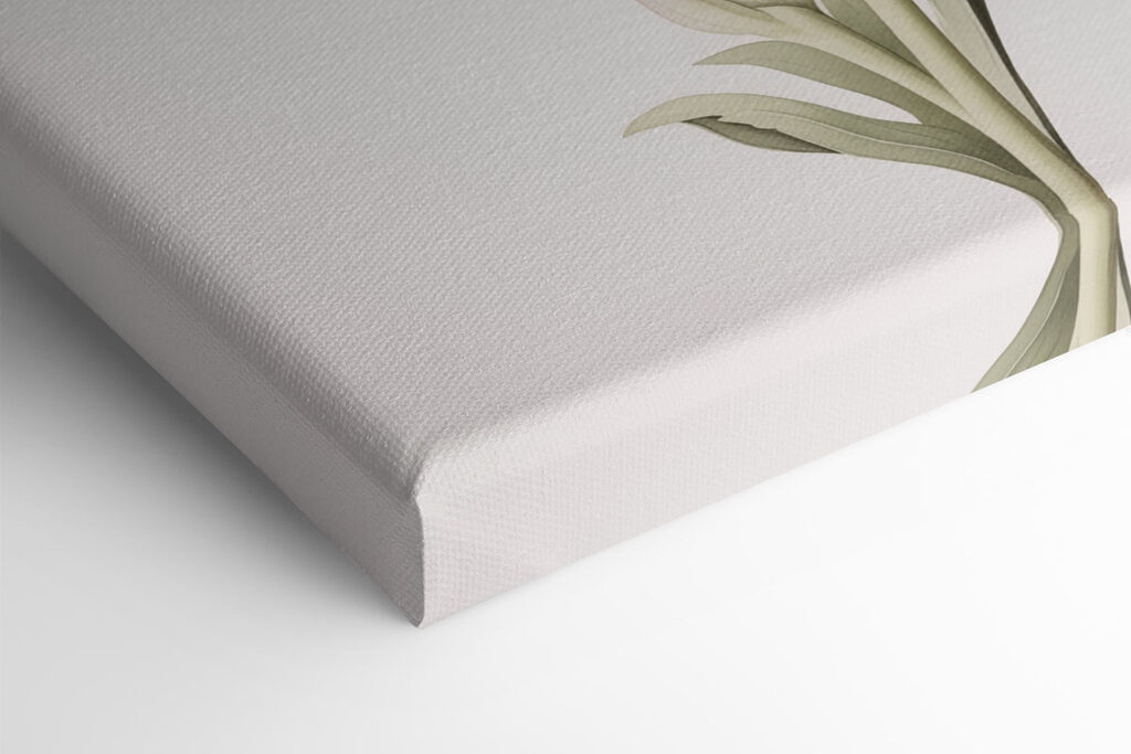 Delicate blossoms in soft hues