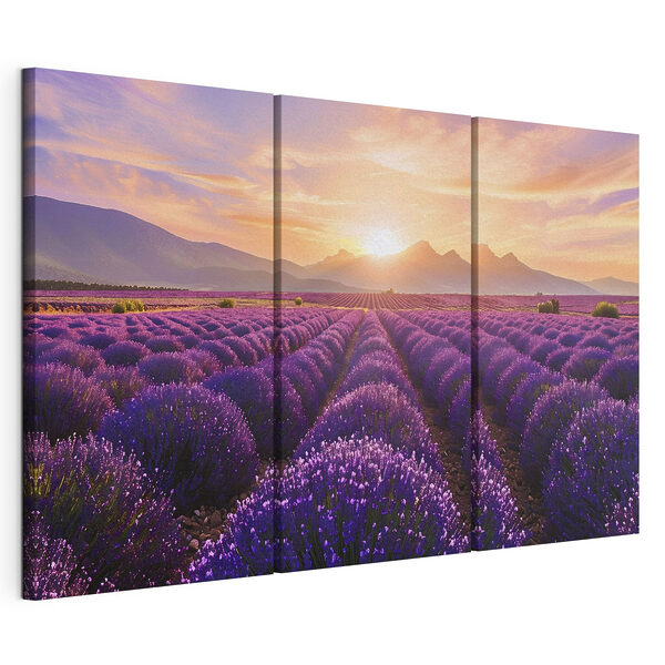 Campo di lavanda con le montagne sullo sfondo Stampa su tela modulare Campo di lavanda con le montagne sullo sfondo