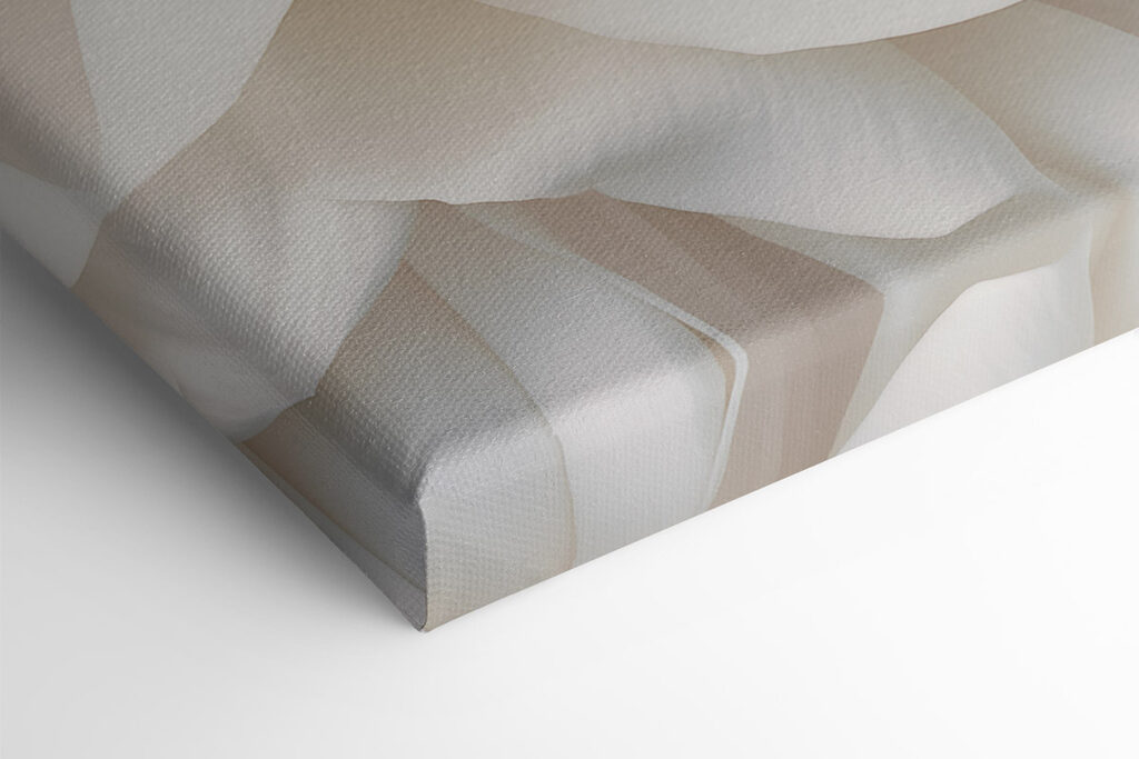 - Elegant petals in soft white hues - Elegant petals in soft white hues