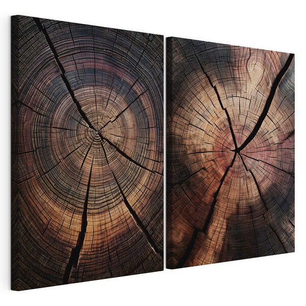 Motivi naturali nel legno invecchiato Stampa su tela modulare Motivi naturali nel legno invecchiato
