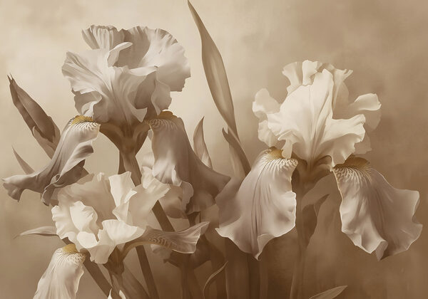 Delicate blooms in soft hues Delicate blooms in soft hues