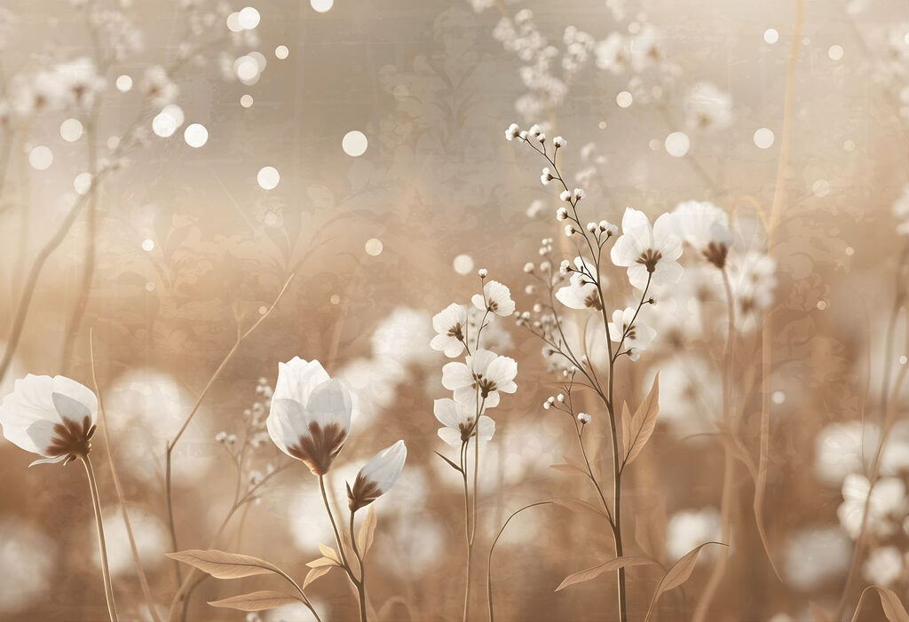 Soft petals in gentle sunlight glow