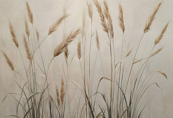 Gentle grasses sway in soft light Gentle grasses sway in soft light