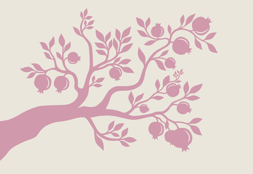 Tree with pink branches and fruit