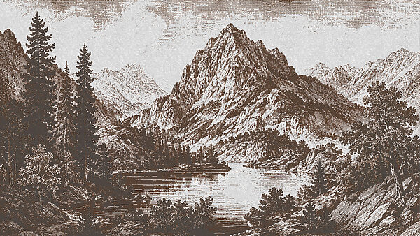 Mountain range with trees and a lake Mountain range with trees and a lake
