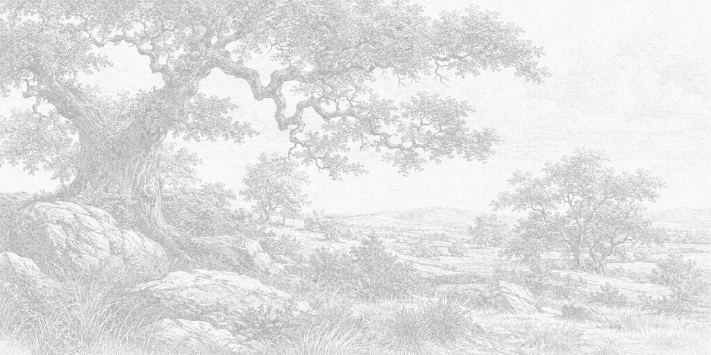 Drawing of a tree and rocks Drawing of a tree and rocks