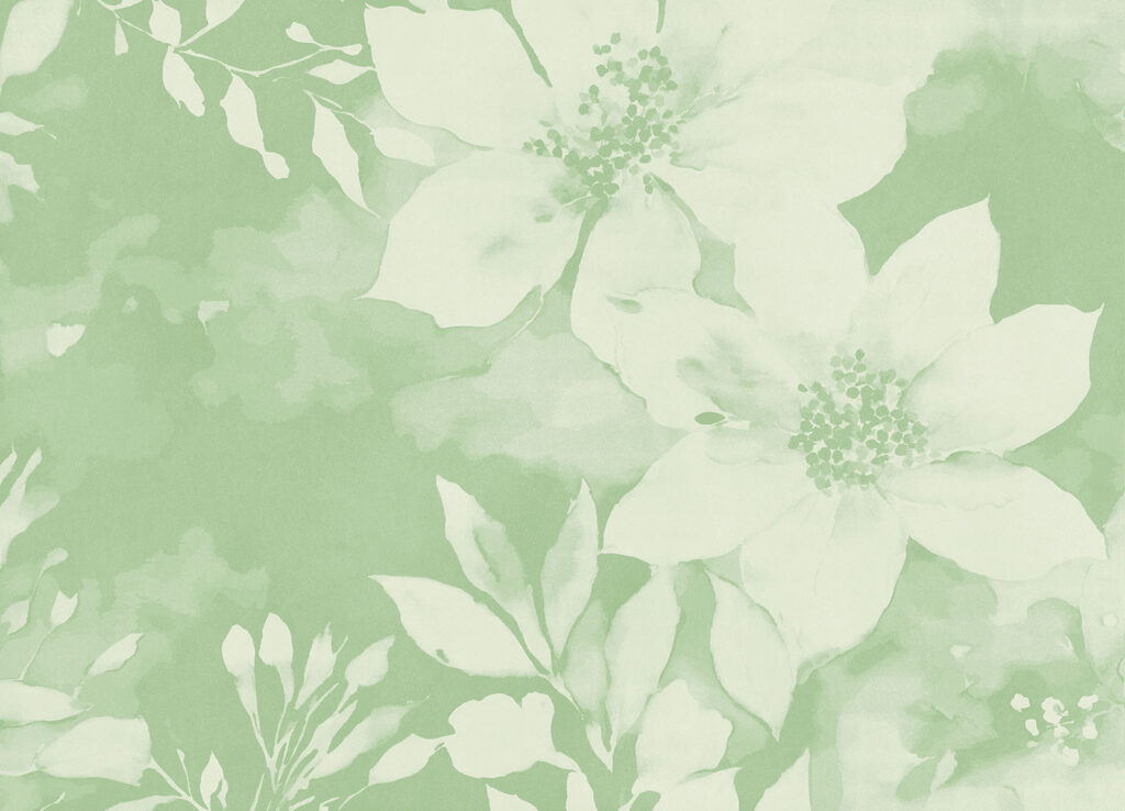 White flowers on a green background