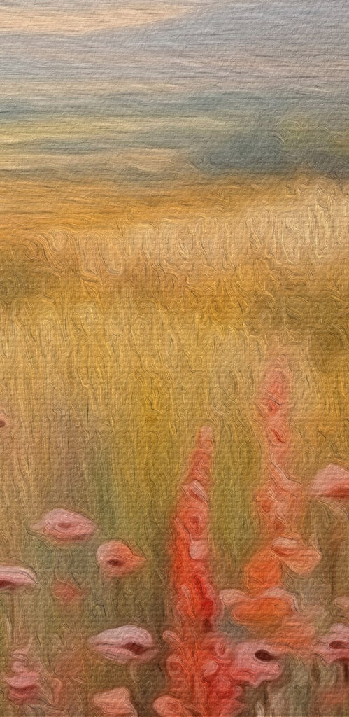 Field of flowers and trees Field of flowers and trees