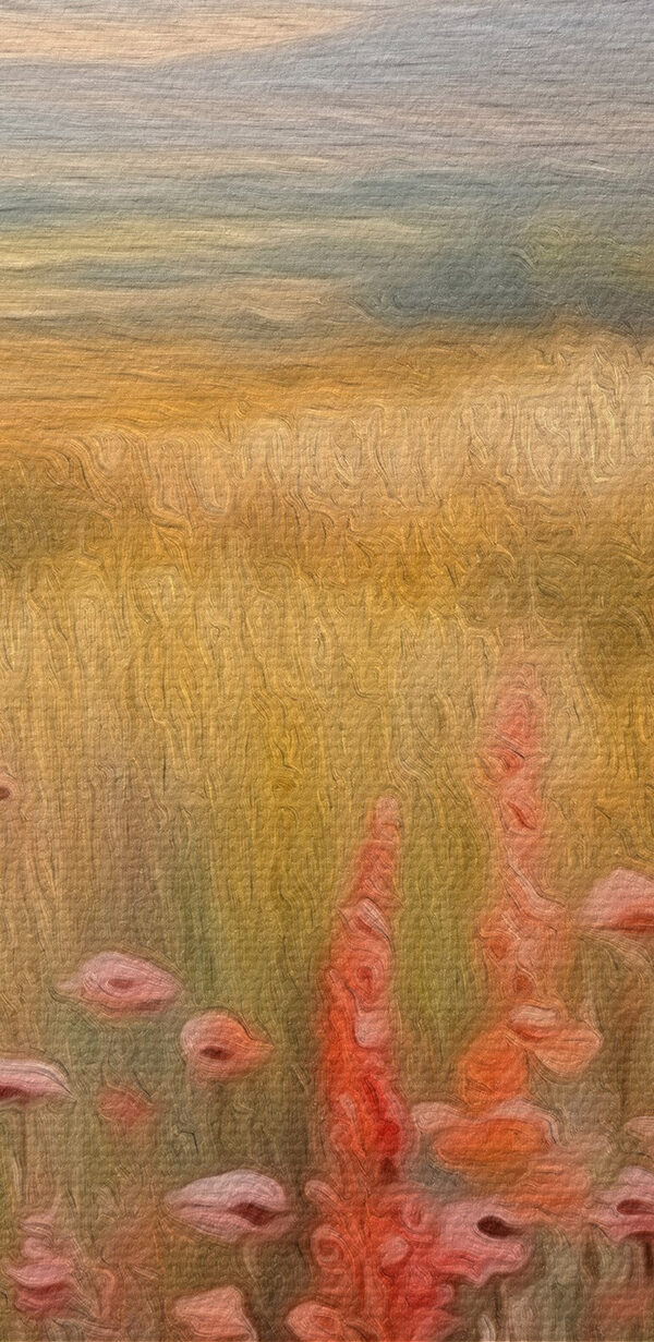 Field of flowers and trees Field of flowers and trees