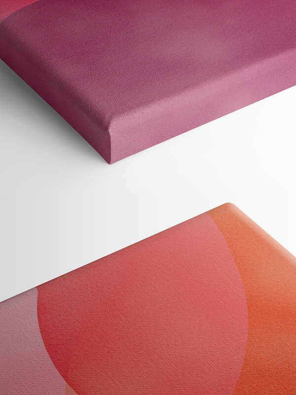 Soft Curves in Warm Hues Soft Curves in Warm Hues