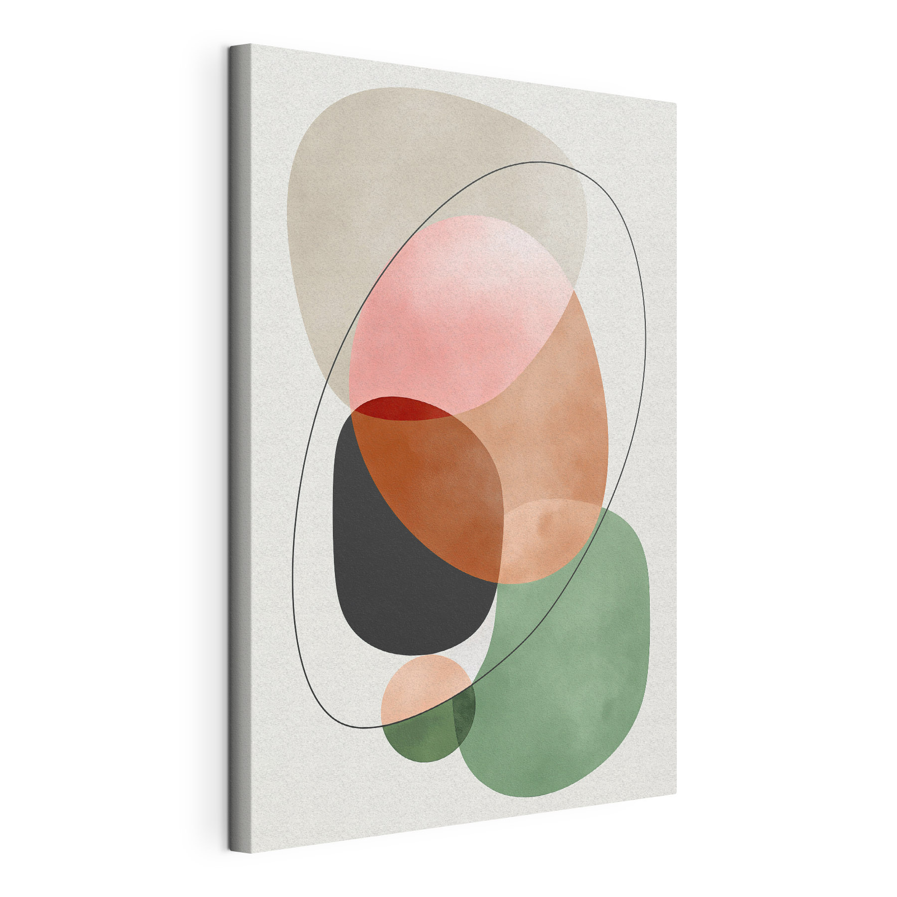 Colorful circles and lines
