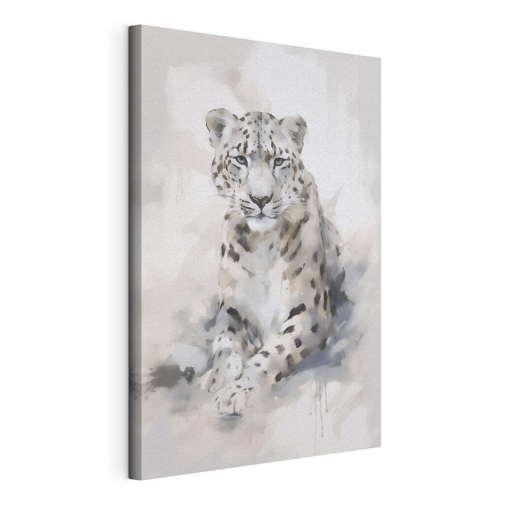 White leopard lying down