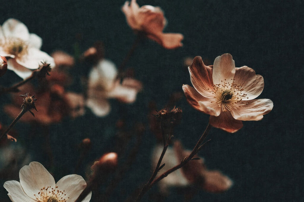 Delicate blooms in soft hues