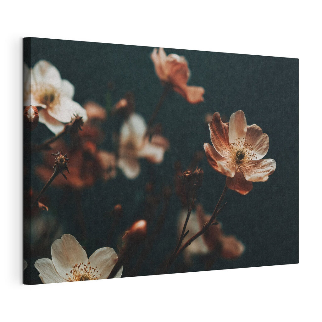Delicate blooms in soft hues