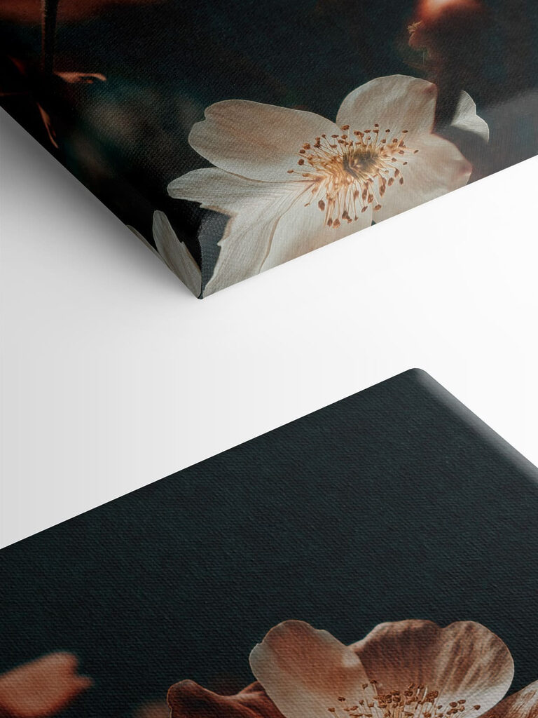 Delicate blooms in soft hues