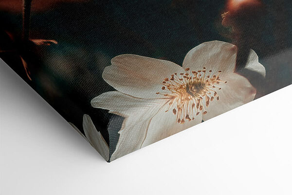 Delicate blooms in soft hues