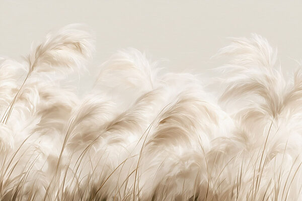Soft grasses swaying in the breeze Soft grasses swaying in the breeze