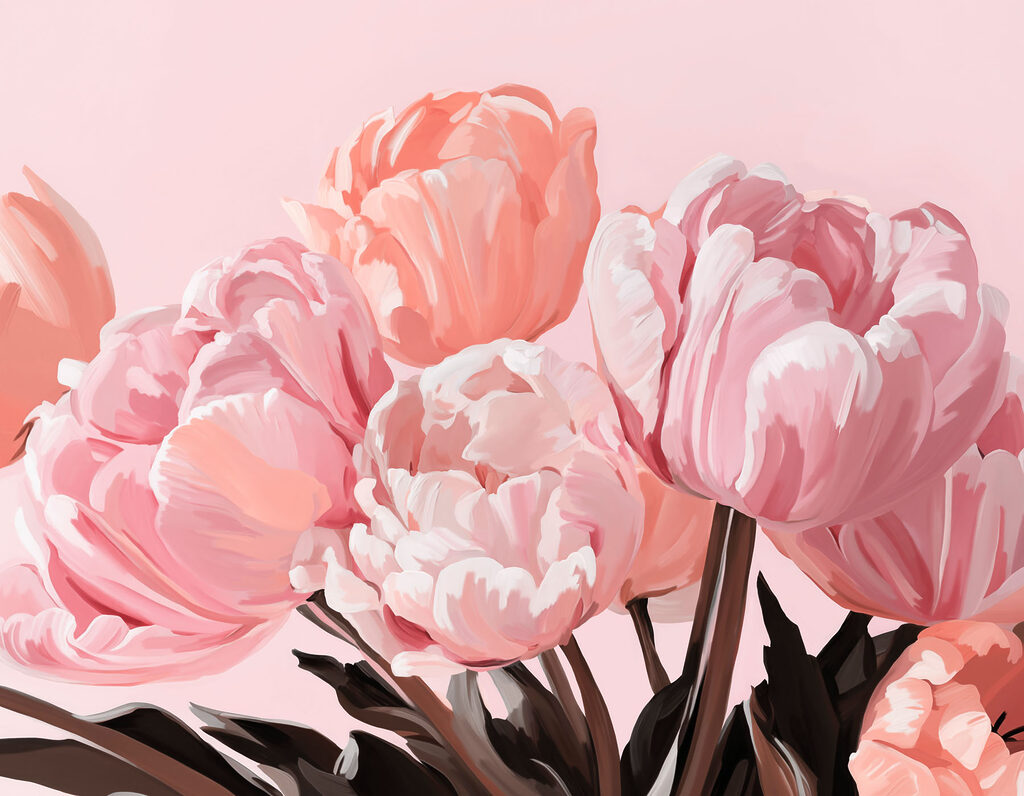 Soft pink tulips in full bloom Soft pink tulips in full bloom