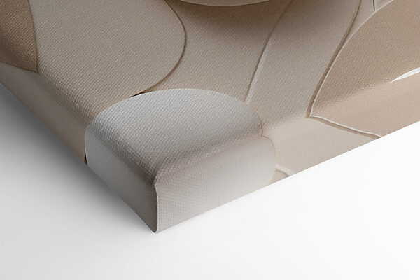 Soft curves and shapes in harmony