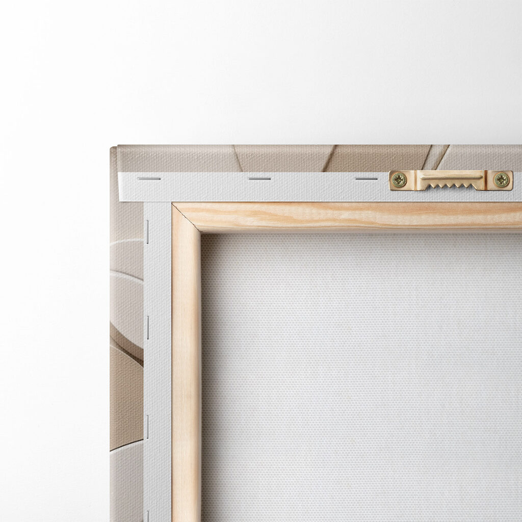 Soft curves and shapes in harmony