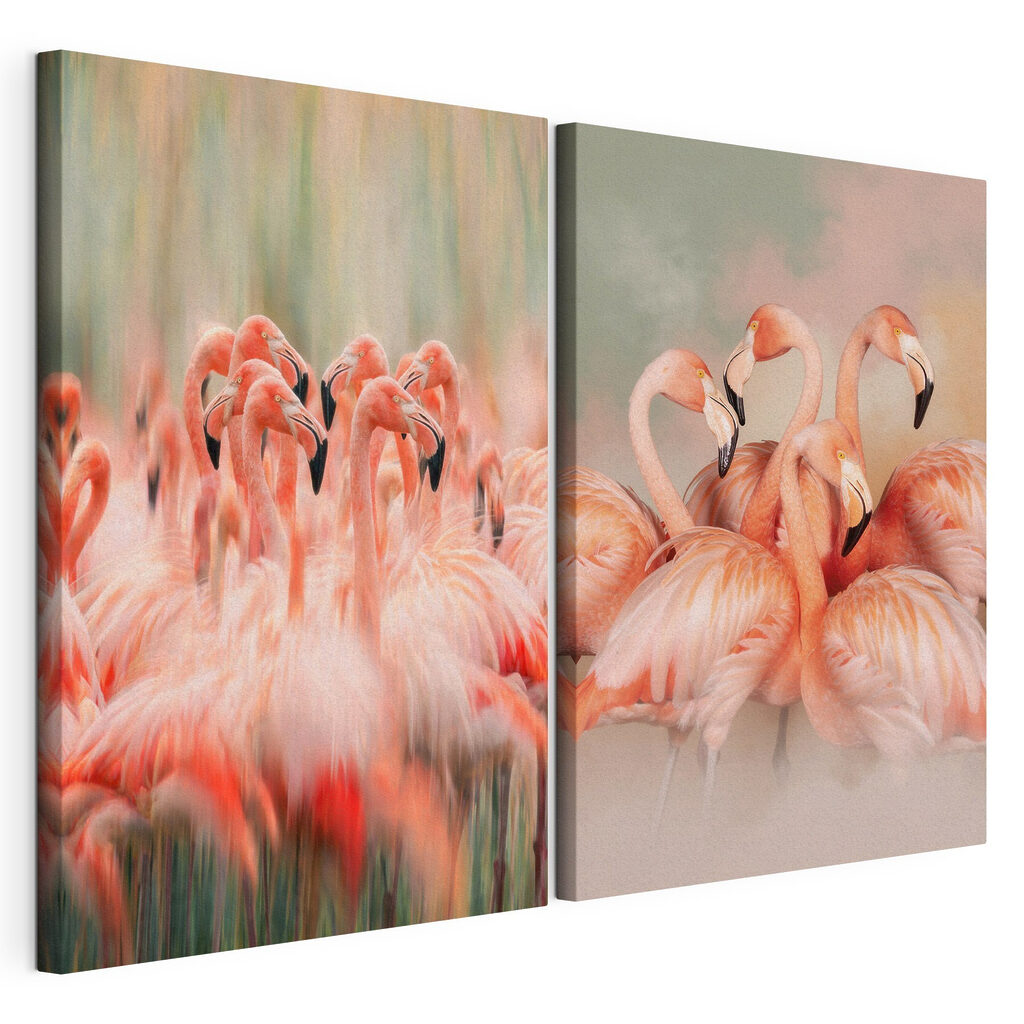 Group of flamingos standing together