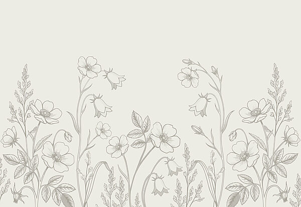 Carta da parati Linea di fiori e piante (COD: t01071)
