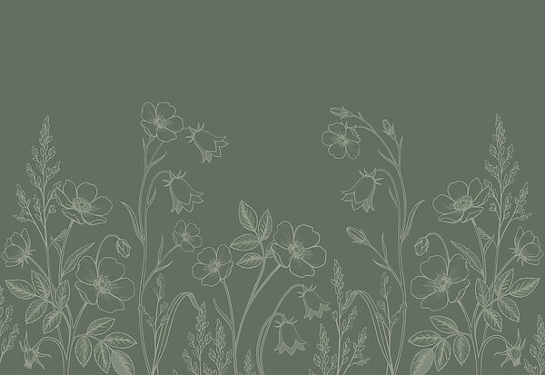 Carta da parati Linea di fiori e piante (COD: t01071v1)