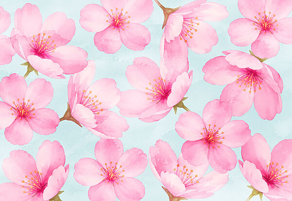 Carta da parati Motivo con fiori rosa (COD: t01132) Carta da parati Motivo con fiori rosa (COD: t01132)