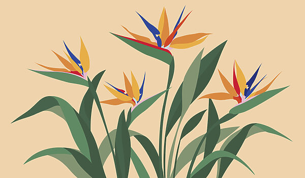 Carta da parati Fiori colorati con foglie verdi (COD: t01139v1) Carta da parati Fiori colorati con foglie verdi (COD: t01139v1)