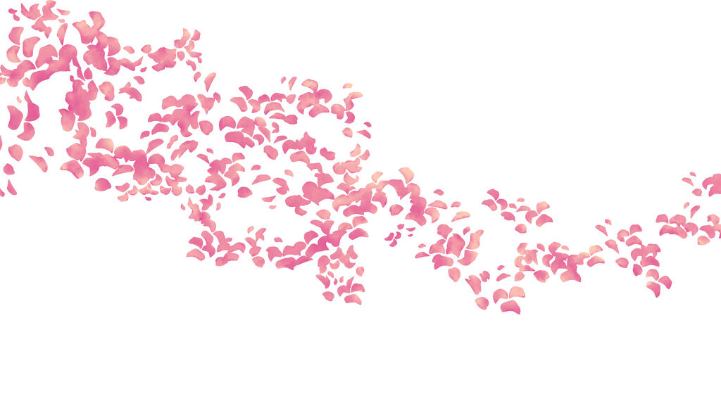 Carta da parati Gruppo di petali rosa (COD: t01140v1) Carta da parati Gruppo di petali rosa (COD: t01140v1)