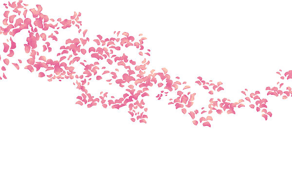 Carta da parati Gruppo di petali rosa (COD: t01140v1) Carta da parati Gruppo di petali rosa (COD: t01140v1)