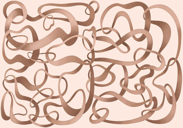 Carta da parati Gruppo di linee riccioline marroni (COD: t01168) Carta da parati Gruppo di linee riccioline marroni (COD: t01168)